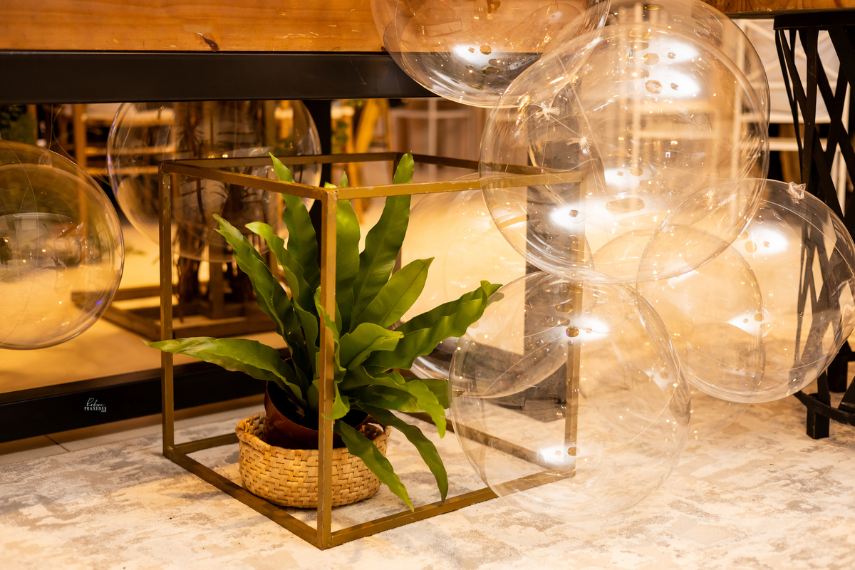 ANIVERSARIO 15 ANOS - FOTOGRAFO EM ITAPEVA ROBSON PRAXEDES - VINICIUS BUFFET E DECORACAO - ESPACO VERDE MICHETTI