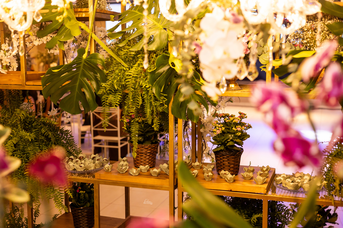 ANIVERSARIO 15 ANOS - FOTOGRAFO EM ITAPEVA ROBSON PRAXEDES - VINICIUS BUFFET E DECORACAO - ESPACO VERDE MICHETTI