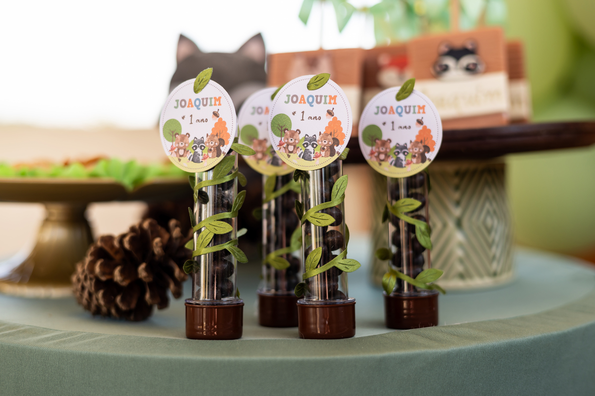 ANIVERSARIO INFANTIL - CHACARA GERIBA ITAPEVA - FOTOGRAFO EM ITAPEVA - ROBSON PRAXEDES