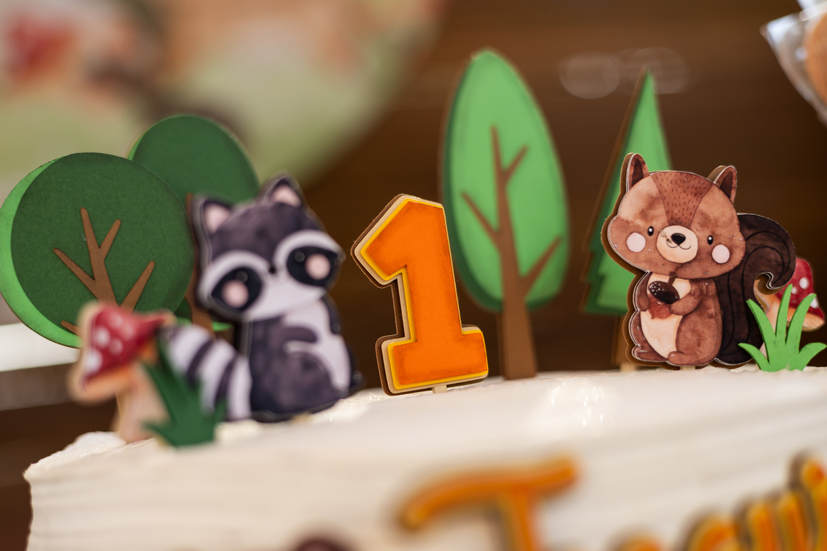 ANIVERSARIO INFANTIL - CHACARA GERIBA ITAPEVA - FOTOGRAFO EM ITAPEVA - ROBSON PRAXEDES