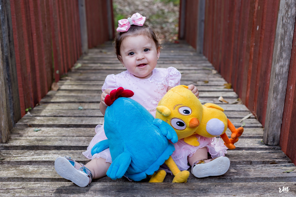 ENSAIO-SMASH THE CAKE-RM FOTOS- NOVA CAMPINA