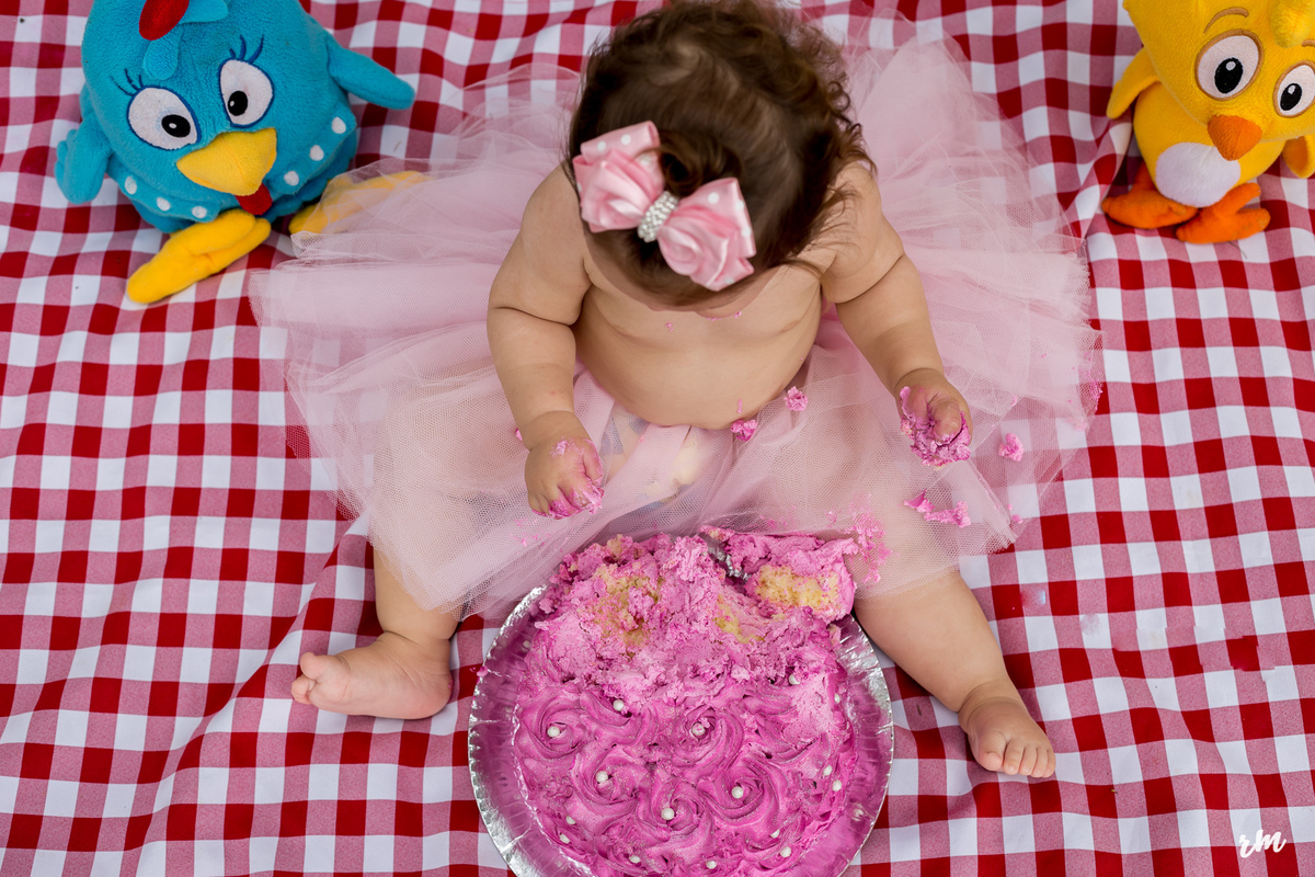 ENSAIO-SMASH THE CAKE-RM FOTOS- NOVA CAMPINA