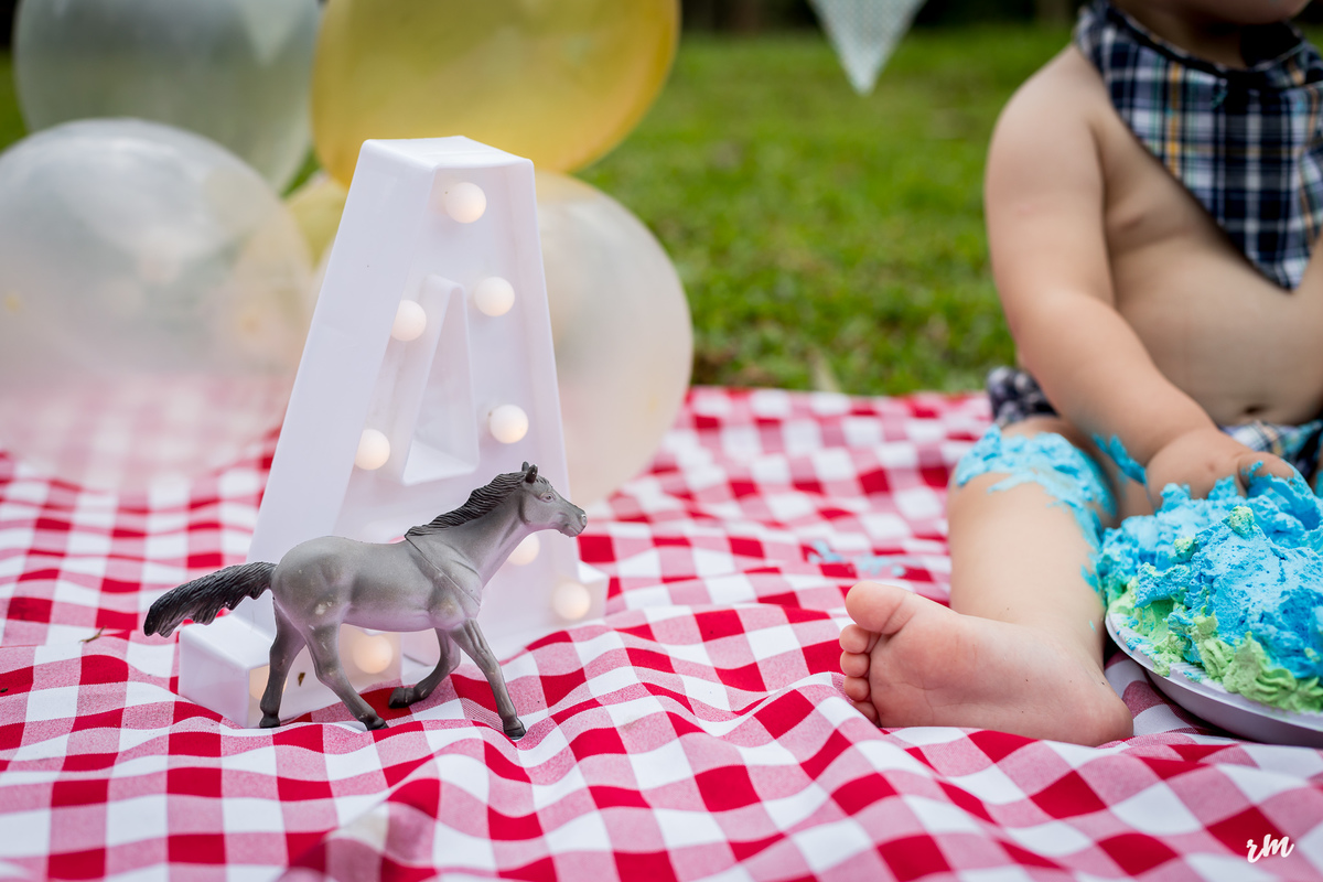 ENSAIO-SMASH THE CAKE-RM FOTOS-NOVA CAMPINA