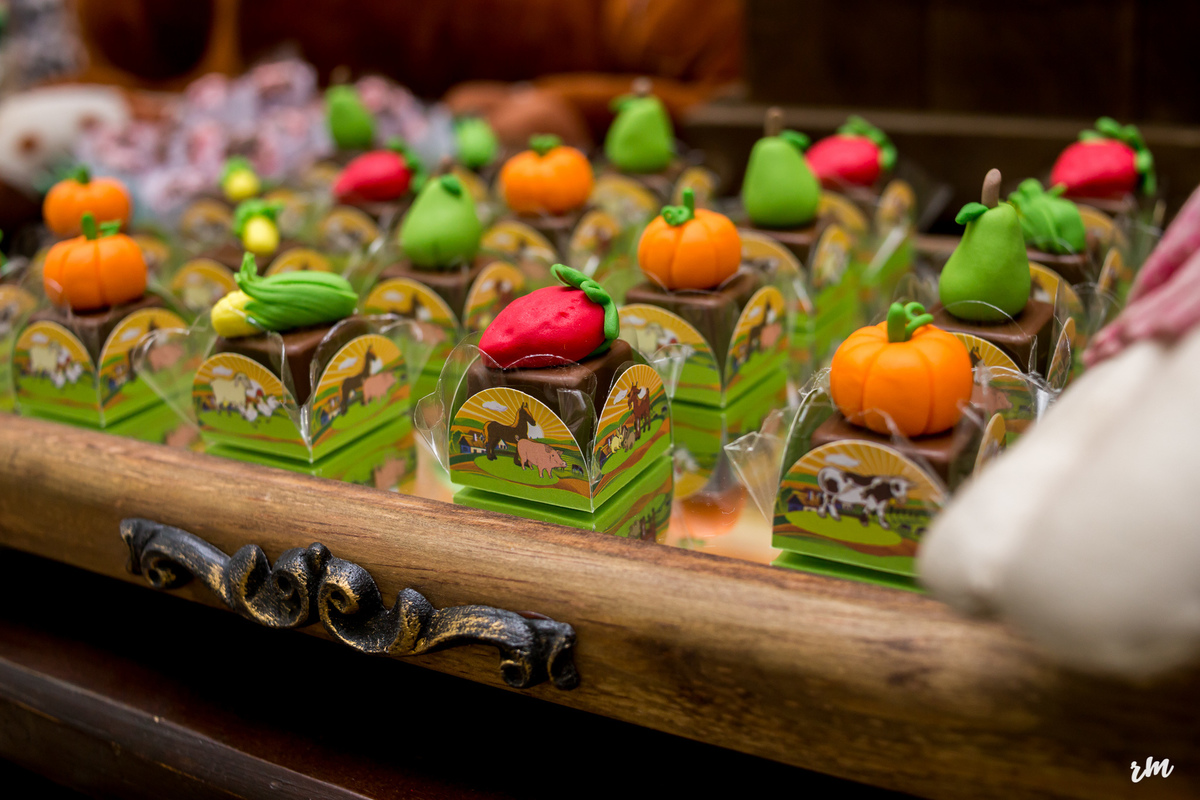 ANIVERSÁRIO INFANTIL - RM FOTOS OFICIAL