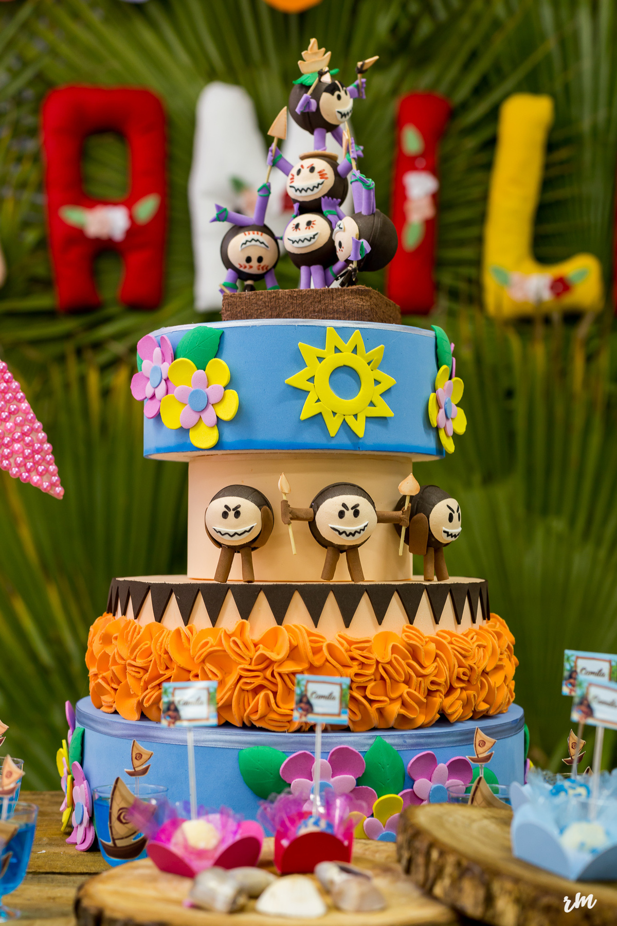 ANIVERSÁRIO INFANTIL - RM FOTOS OFICIAL - NOVA CAMPINA