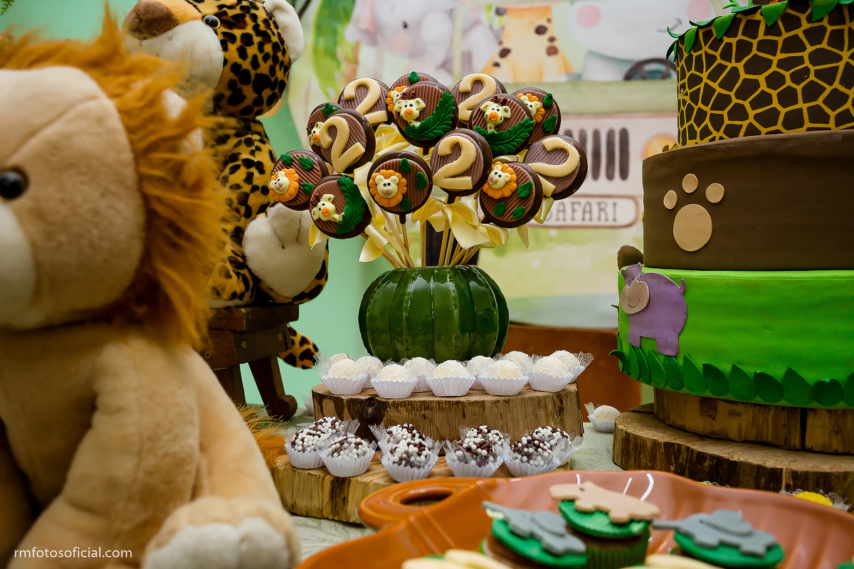 ANIVERSÁRIO INFANTIL - RM FOTOS - ROBSON PRAXEDES - FOTÓGRAFO EM ITAPEVA E NOVA CAMPINA - SAÃO SONHO MEU - BRUNA FESTAS