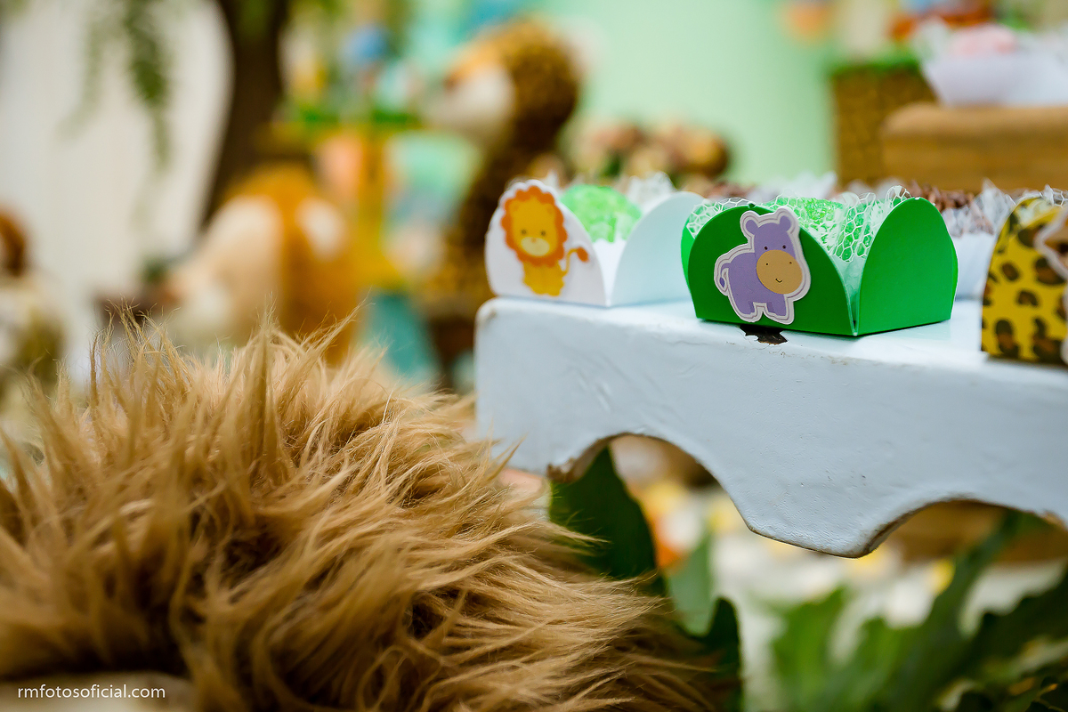 ANIVERSÁRIO INFANTIL - RM FOTOS - ROBSON PRAXEDES - FOTÓGRAFO EM ITAPEVA E NOVA CAMPINA - SAÃO SONHO MEU - BRUNA FESTAS