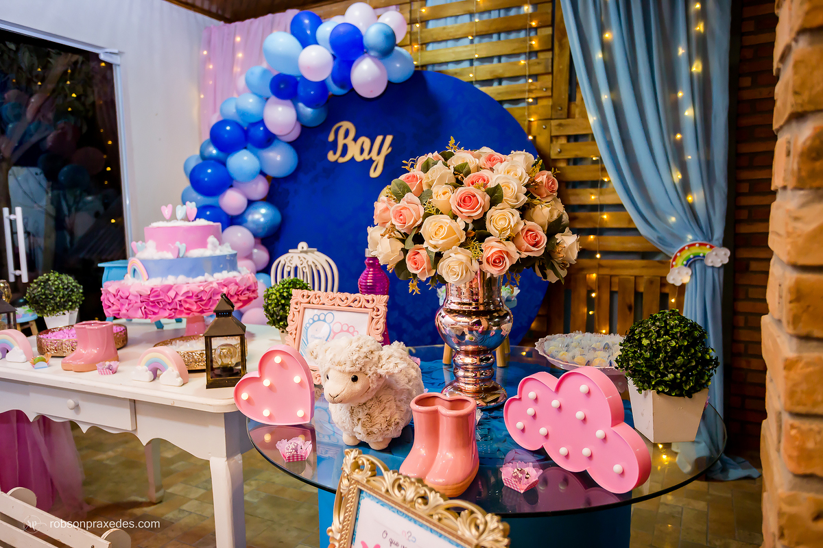 FOTOS CHA REVELACAO - ROBSON PRAXEDES - FOTOGRAFO EM ITAPEVA E NOVA CAMPINA