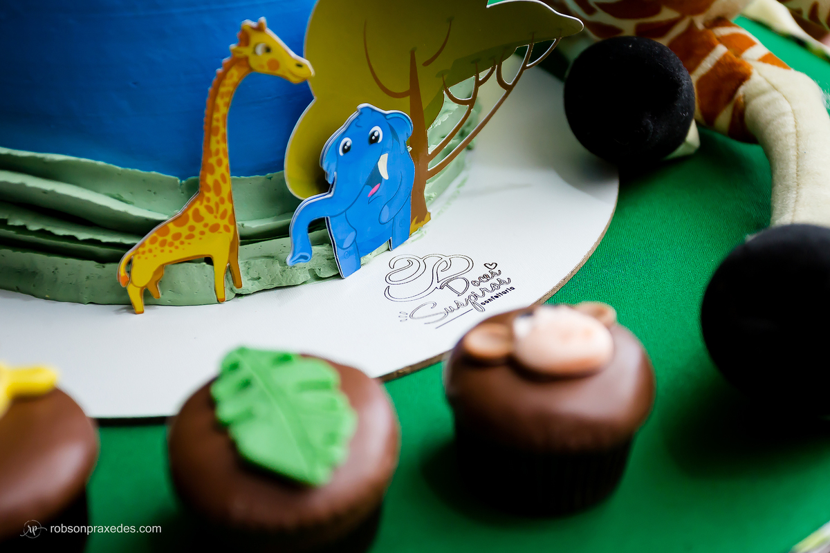 FOTOS ANIVERSARIO INFANTIL - ROBSON PRAXEDES - FOTOGRAFO EM ITAPEVA E NOVA CAMPINA - POSES PARA ANIVERSARIO