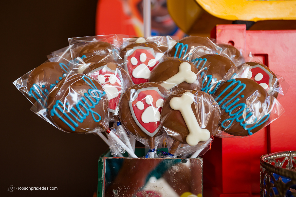 ANIVERSARIO INFANTIL - ROBSON PRAXEDES - FOTOGRAFO EM ITAPEVA - FOTOGRAFO EM NOVA CAMPINA