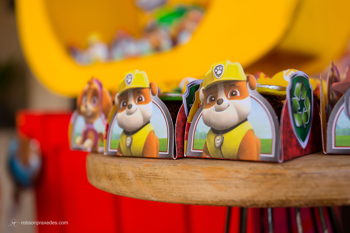 ANIVERSARIO INFANTIL - ROBSON PRAXEDES - FOTOGRAFO EM ITAPEVA - FOTOGRAFO EM NOVA CAMPINA