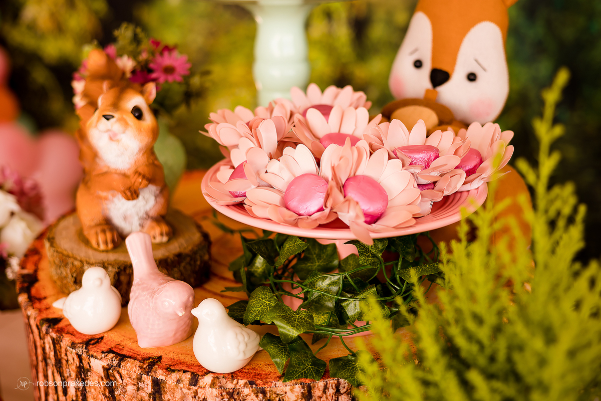 FOTOS DE ANIVERSARIO INFANTIL - FOTOGRAFO EM ITAPEVA - ROBSON PRAXEDES - FESTA INFANTIL