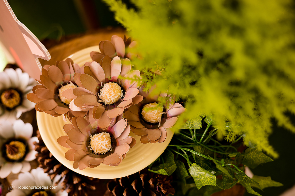 FOTOS DE ANIVERSARIO INFANTIL - FOTOGRAFO EM ITAPEVA - ROBSON PRAXEDES - FESTA INFANTIL