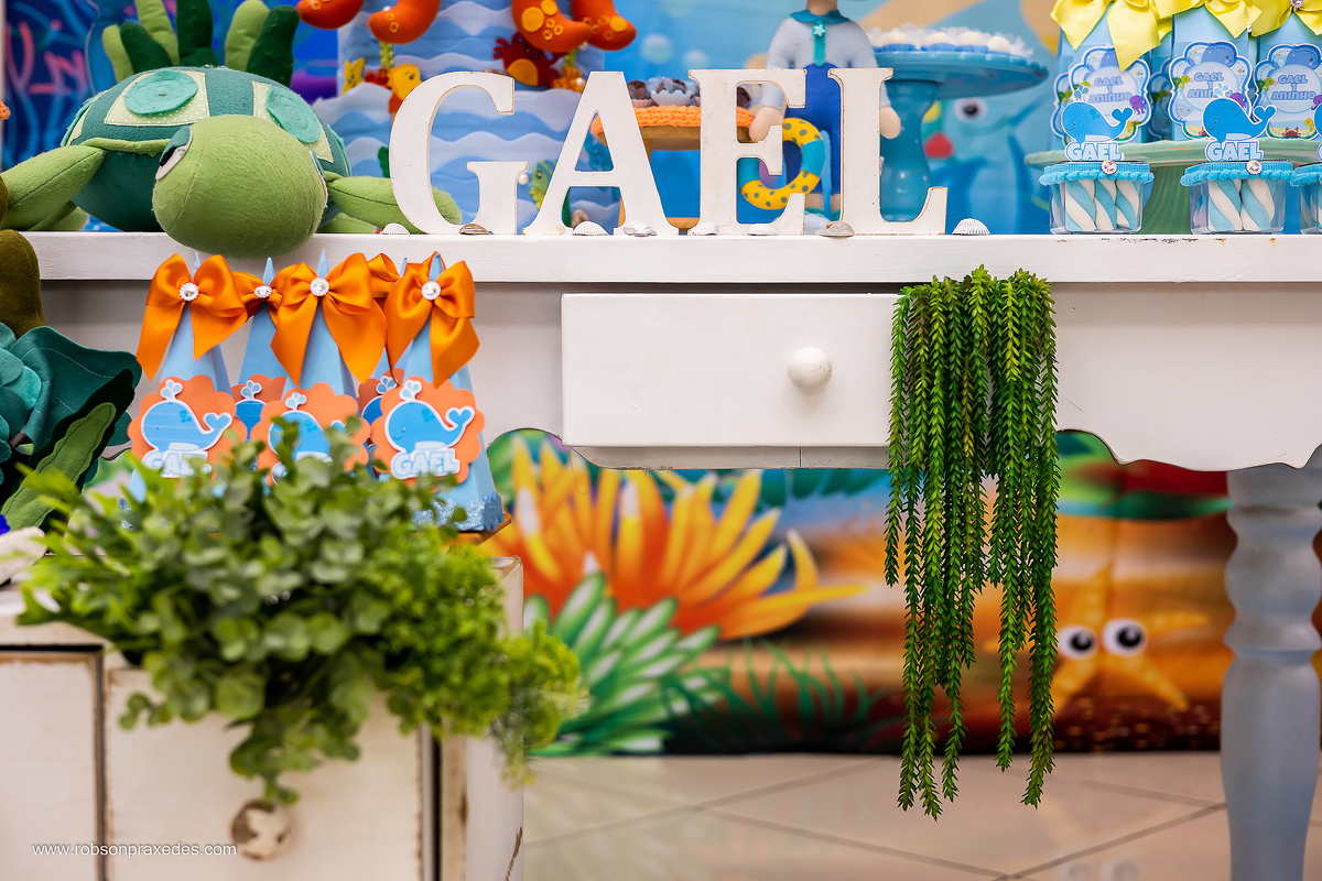 ANIVERSARIO INFANTIL - ALGODAO DOCE ITAPEVA - FOTOGRAFO EM ITAPEVA - ROBSON PRAXEDES - FOTOS 1 ANO