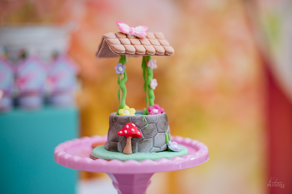 FOTOGRAFO EM ITAPEVA - ROBSON PRAXEDES - CASA DE FESTAS SONHO MEU - FOTOGRAFIA DE ANIVERSARIO