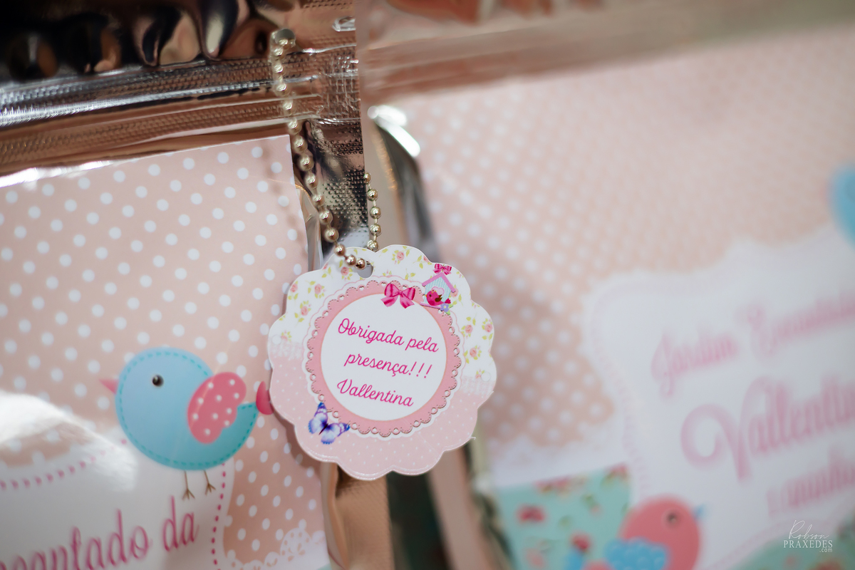 FOTOGRAFO EM ITAPEVA - ROBSON PRAXEDES - CASA DE FESTAS SONHO MEU - FOTOGRAFIA DE ANIVERSARIO