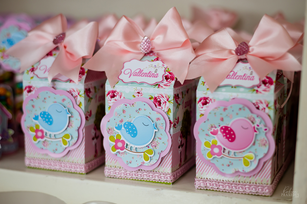 FOTOGRAFO EM ITAPEVA - ROBSON PRAXEDES - CASA DE FESTAS SONHO MEU - FOTOGRAFIA DE ANIVERSARIO