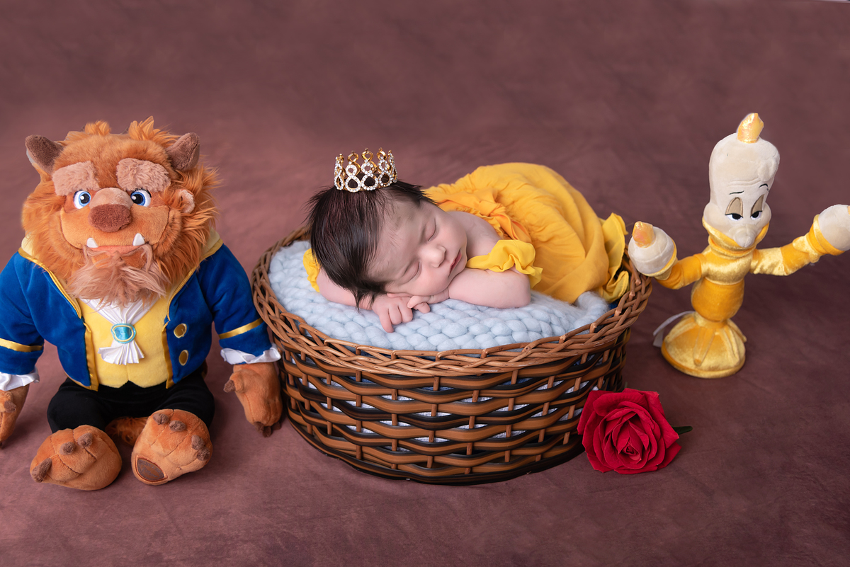 ensaio-newborn-menina-estudio-thais-castro-santo-andre-abc