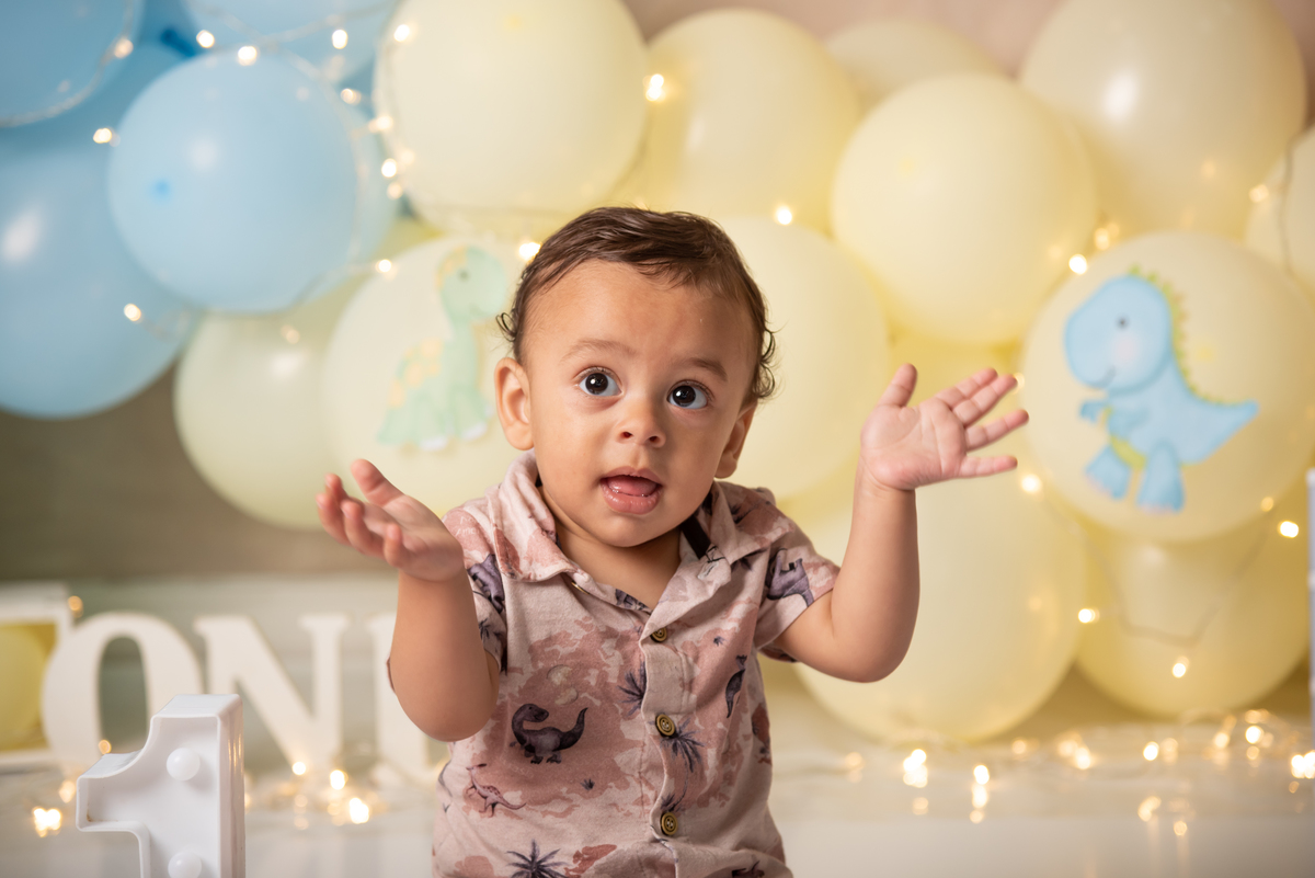 smash-the-cake-dinossauros-baby-estudio-thais-castro-santo-andre-são-paulo
