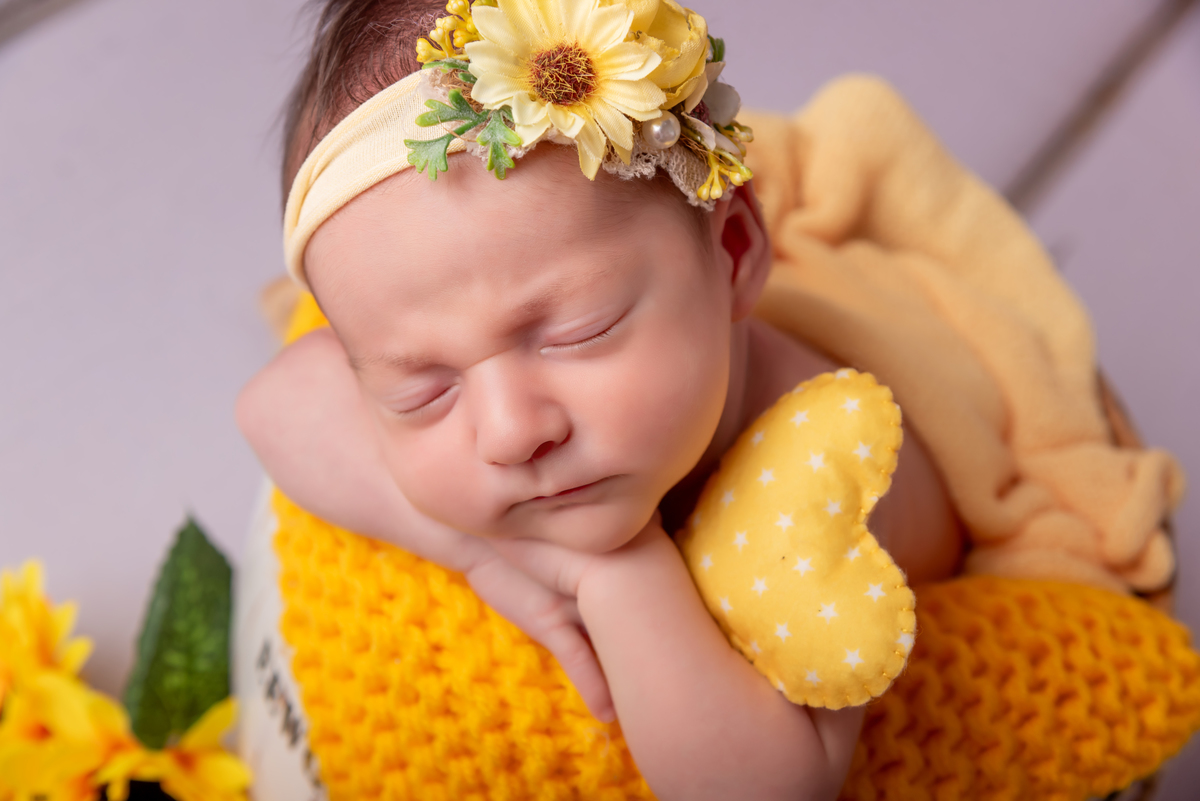 ensaio-newborn-estudio-thais-castro-santo-andre