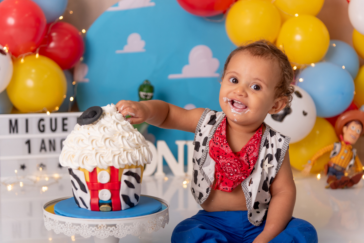 smash-the-cake-santo-andre-toy-story-disney-estudio-thais-castro