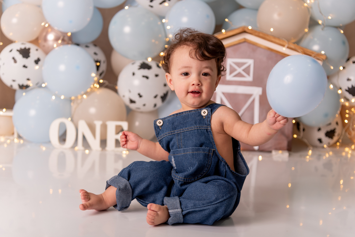 smash-the-cake-fazendinha-aniversario-santo-andre-sao-paulo-estudio-thais-castro