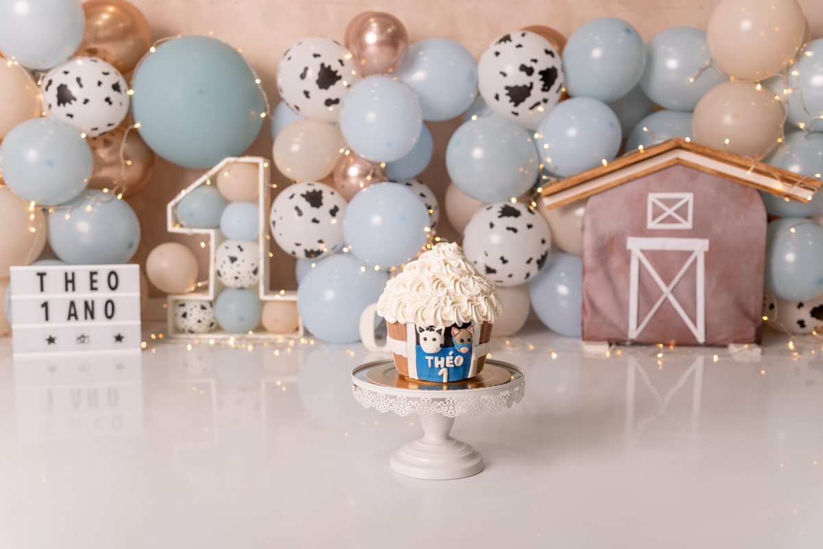 smash-the-cake-fazendinha-aniversario-santo-andre-sao-paulo-estudio-thais-castro