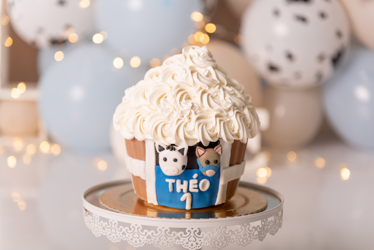 smash-the-cake-fazendinha-aniversario-santo-andre-sao-paulo-estudio-thais-castro