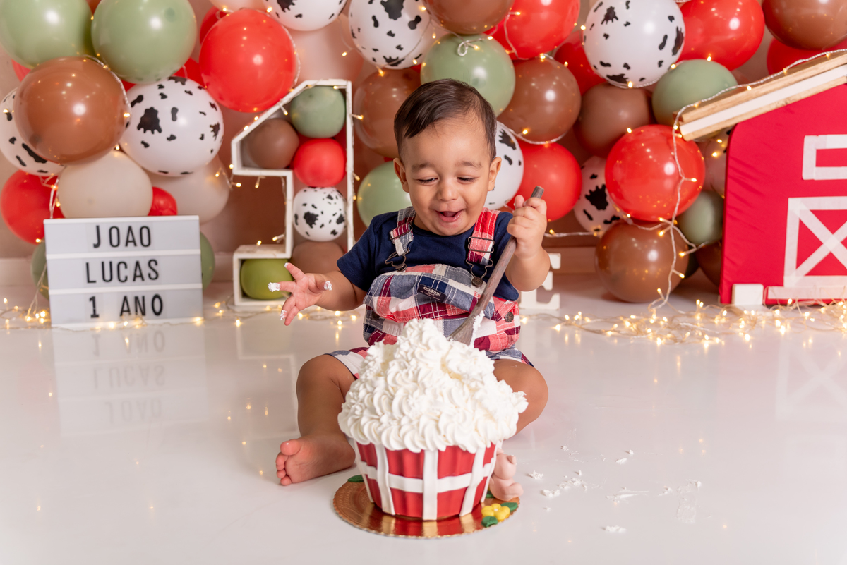 ensaio-smash-the-cake-fazendinha-fashion-luxo-estudio-thais-castro-brooklin-morumbi-ibirapuera-moema-abc-tatuapé