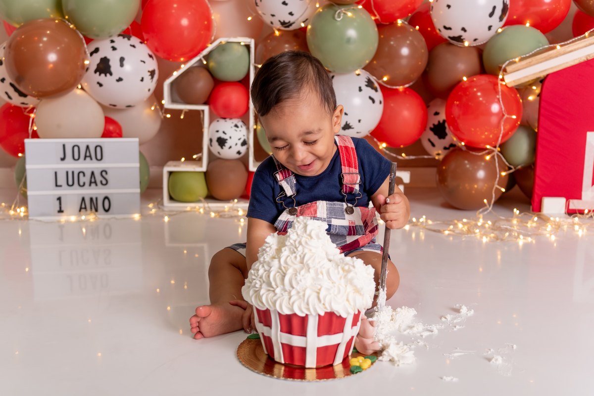 ensaio-smash-the-cake-fazendinha-fashion-luxo-estudio-thais-castro-brooklin-morumbi-ibirapuera-moema-abc-tatuapétatuapé