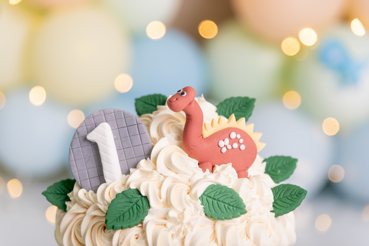 ensaio-smash-the-cake-dinossauros-baby-candy-brooklin-estudio-thais-castro-moema-ibirapuera-jabaquara-jardins-olimpia