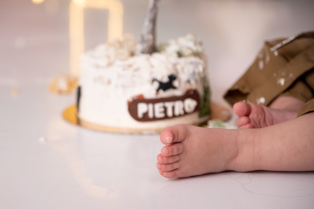 smash-the-cake-safari-leão-bolo-personalizado-aniversario-1-ano-estudio-thais-castro-brooklin-itaim-moema-campo-belo-congonhas-vila-olimpia