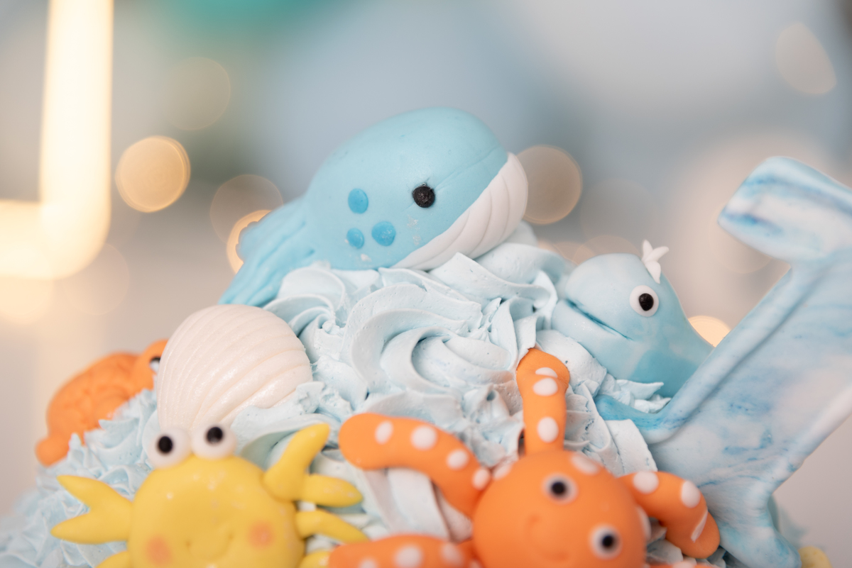 ensaio-smash-the-cake-fundo-do-mar-menino-primeiro-ano-brooklin-itaim-jardins-morumbi-ibirapuera-campo-belo-santo-amaro-osasco-ipiranga-vila-mariana-bela-vista-fashion-classico-estudio-thais-castro