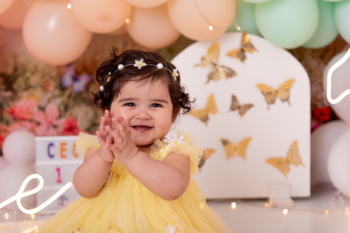 smash-the-cake-primeir-ano-menina-jardim-borboletas-criativo-estudio-thais-castro-brooklin-moema-campo-belo-jardins-cidade-monções-itaim-ibirapuera-morumbi-ipiranga-abc