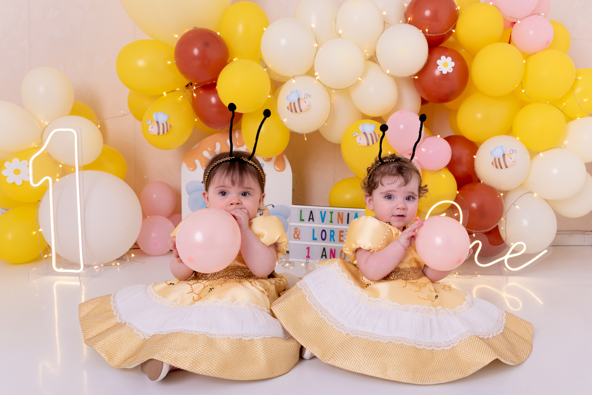 ensaio-1-ano-smash-the-cake-gemeas-abelinha-clean-estudio-thais-castro-brooklin-moema-itaim-ibirapuera-morumbi-berrini-campo-belo-zona-sul-ipiranga