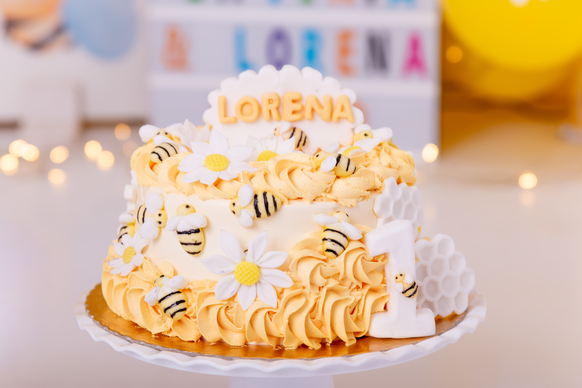 ensaio-1-ano-smash-the-cake-gemeas-abelinha-clean-estudio-thais-castro-brooklin-moema-itaim-ibirapuera-morumbi-berrini-campo-belo-zona-sul-ipiranga