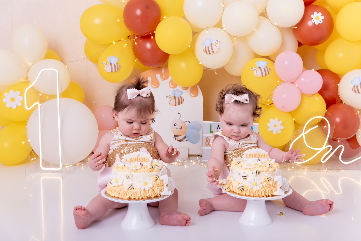 ensaio-1-ano-smash-the-cake-gemeas-abelinha-clean-estudio-thais-castro-brooklin-moema-itaim-ibirapuera-morumbi-berrini-campo-belo-zona-sul-ipiranga