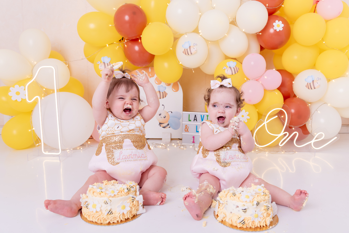 ensaio-1-ano-smash-the-cake-gemeas-abelinha-clean-estudio-thais-castro-brooklin-moema-itaim-ibirapuera-morumbi-berrini-campo-belo-zona-sul-ipiranga