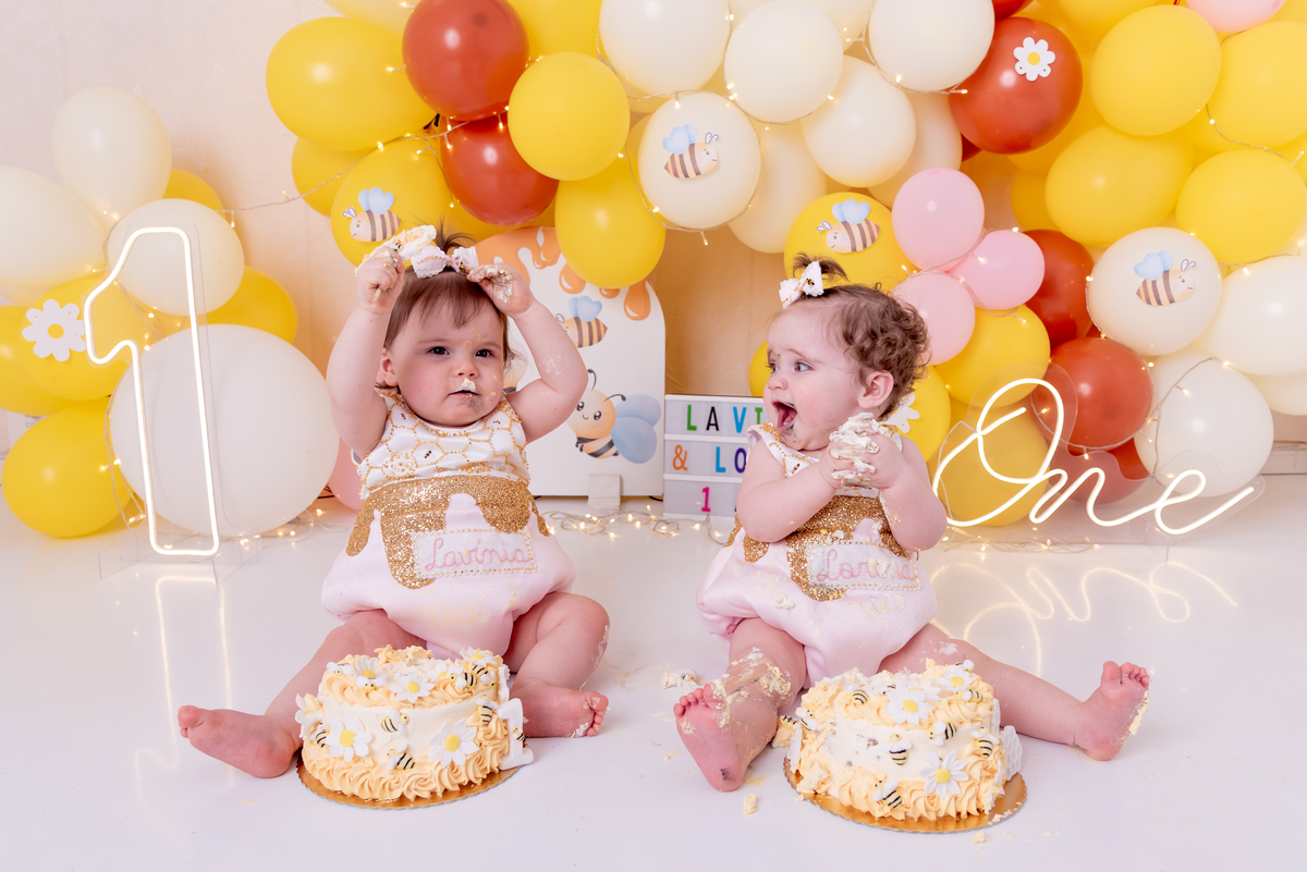 ensaio-1-ano-smash-the-cake-gemeas-abelinha-clean-estudio-thais-castro-brooklin-moema-itaim-ibirapuera-morumbi-berrini-campo-belo-zona-sul-ipiranga