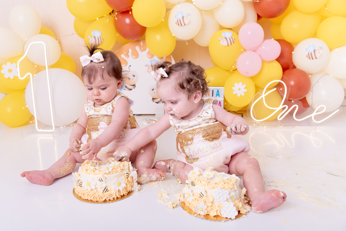 ensaio-1-ano-smash-the-cake-gemeas-abelinha-clean-estudio-thais-castro-brooklin-moema-itaim-ibirapuera-morumbi-berrini-campo-belo-zona-sul-ipiranga