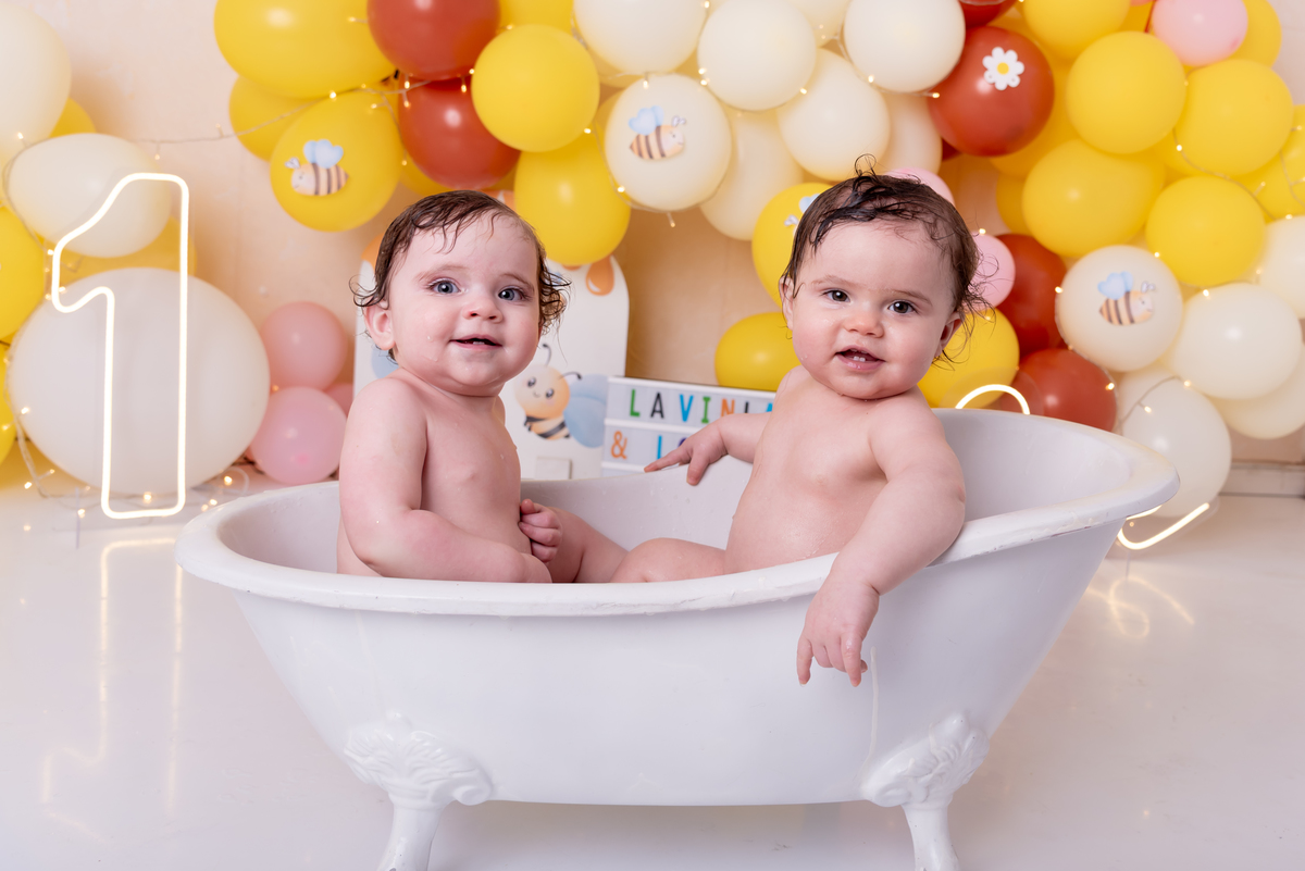 ensaio-1-ano-smash-the-cake-gemeas-abelinha-clean-estudio-thais-castro-brooklin-moema-itaim-ibirapuera-morumbi-berrini-campo-belo-zona-sul-ipiranga