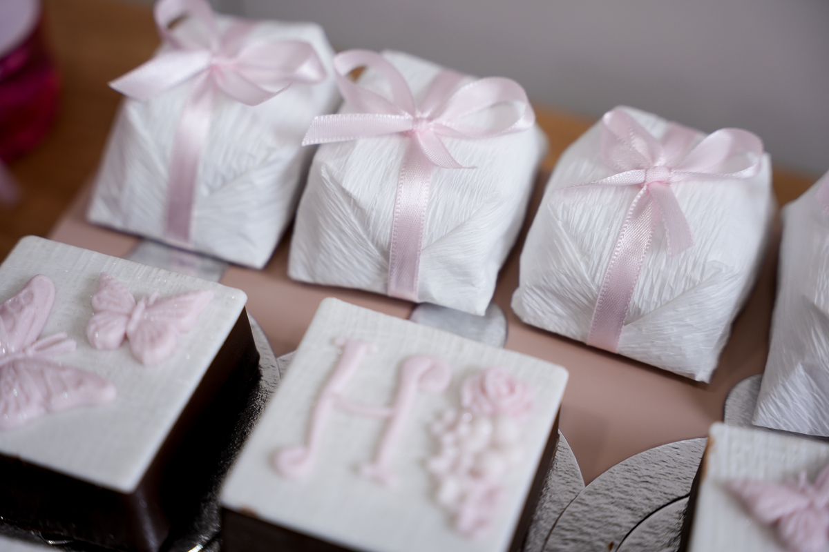 ensaio-aniversario-infantil-frozen-fotografia-filmagem-parto-normal-cesaria-promatre-santa-joana-star-maternidade-jardins-são-luiz-brooklin-moema-itaim-campo-belo-ibirapuera-morumbi-ipiranga-bela-vista