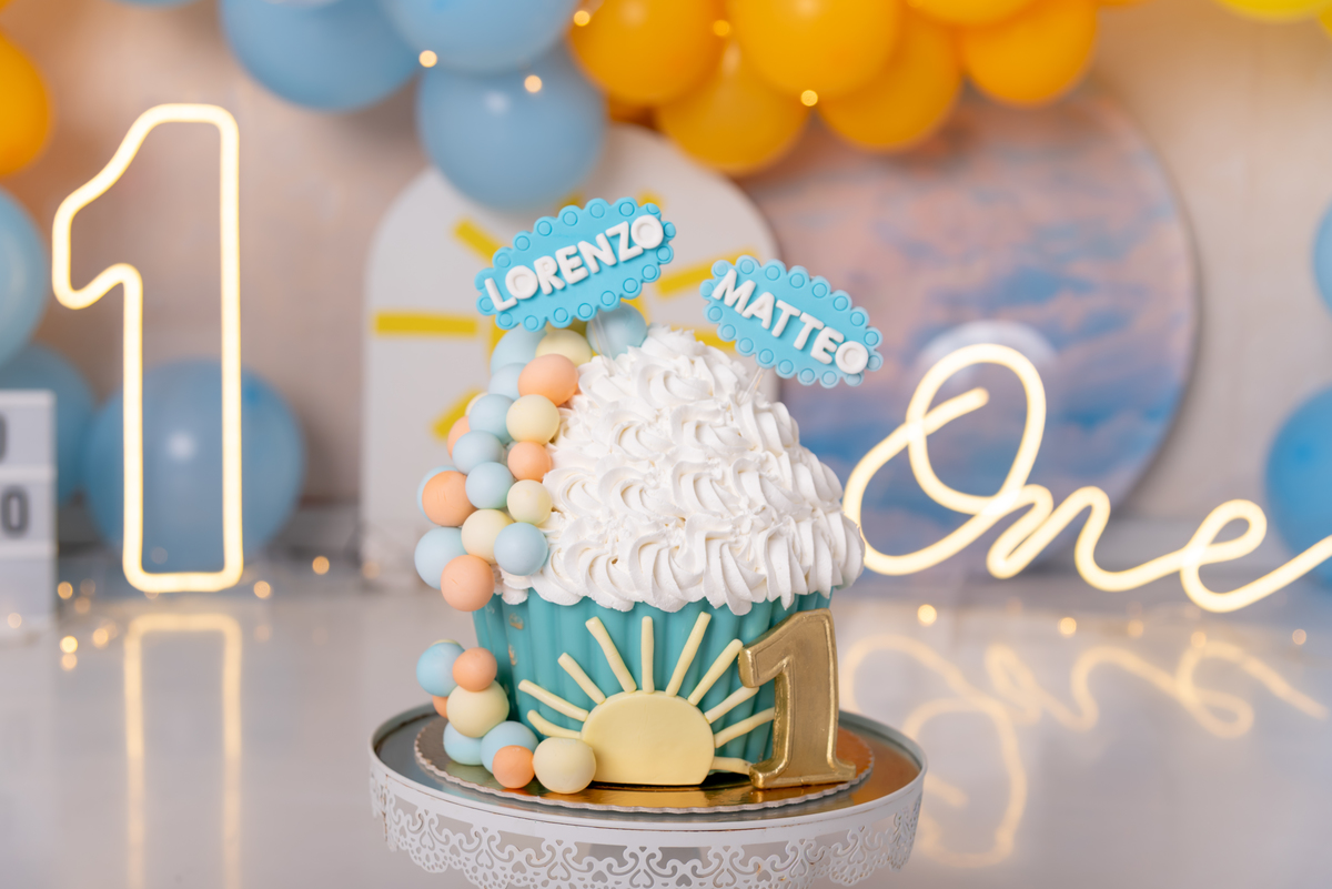 smash-the-cake-primeira-volta-ao-sol-menino-gemeos-bolo-ensaio-fotografico-aniversario-estudio-thais-castro-brooklin-moema-itaim-bibi-morumbi-ibirapuera-santo-amaro-zona-sul-cidade-monções