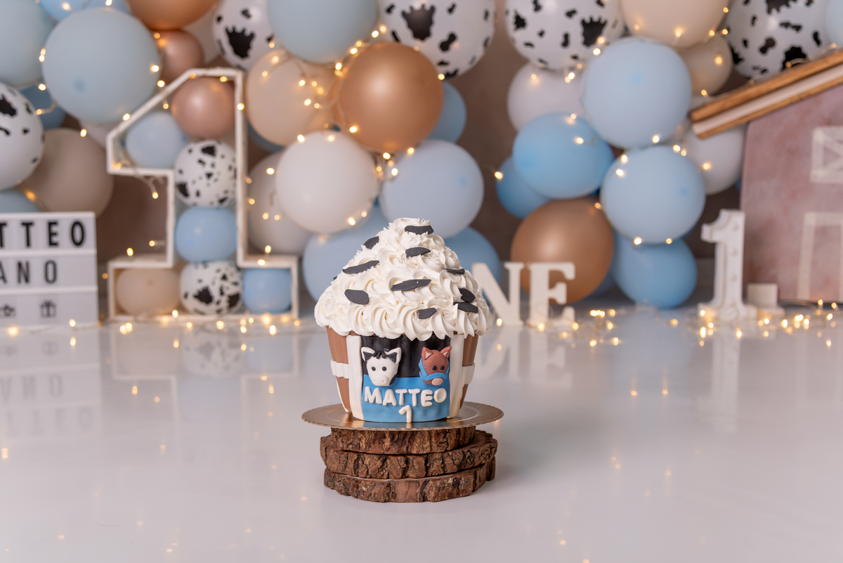 smash-the-cake-fazendinha-menino-primeiro-ano-aniversario-bolo-brooklin-moema-itaim-bibi-morumbi-santo-amaro-ibirapuera-ipiranga-cidade-monções-vila-mariana