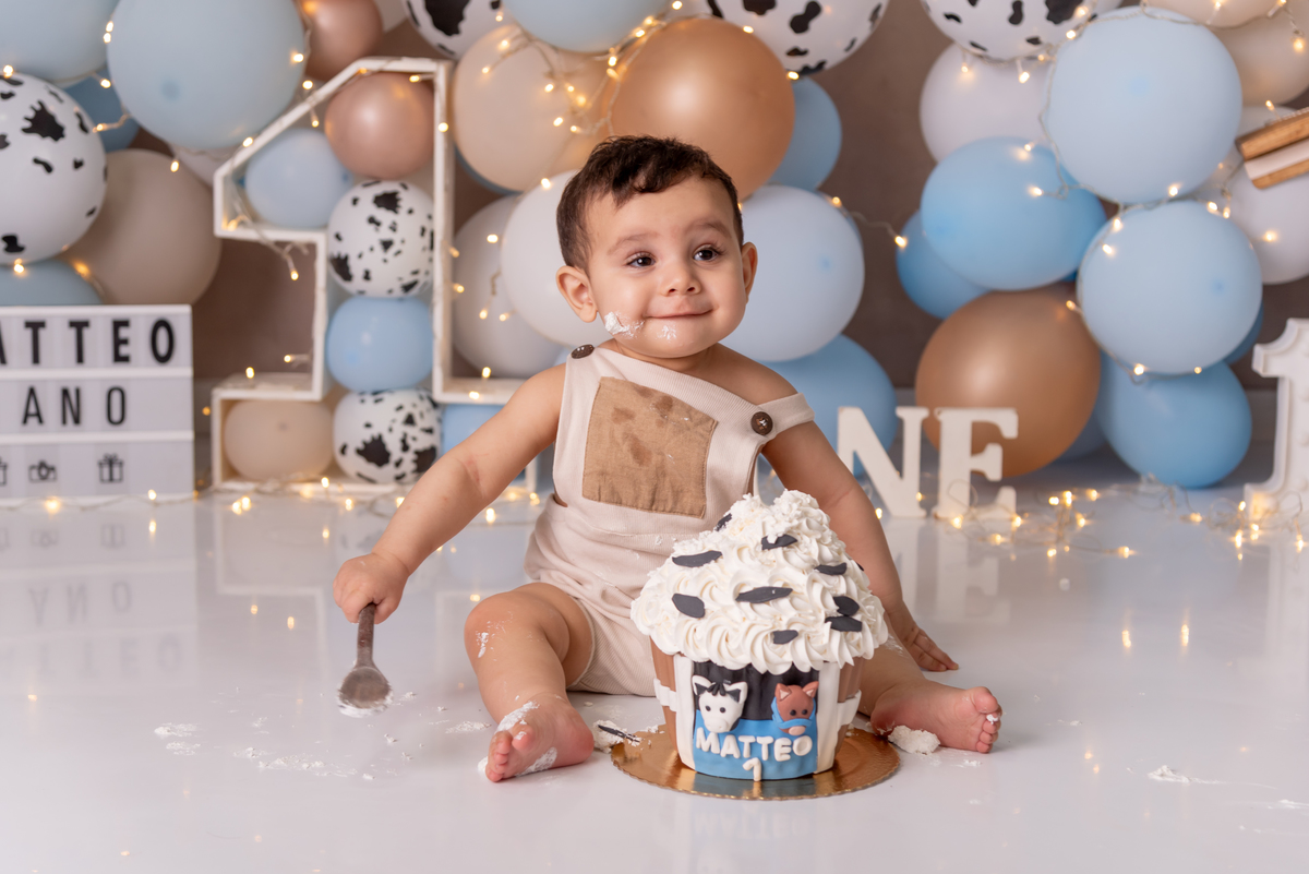 smash-the-cake-fazendinha-menino-primeiro-ano-aniversario-bolo-brooklin-moema-itaim-bibi-morumbi-santo-amaro-ibirapuera-ipiranga-cidade-monções-vila-mariana
