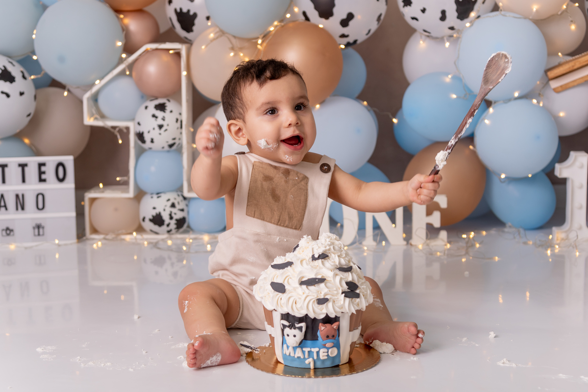 smash-the-cake-fazendinha-menino-primeiro-ano-aniversario-bolo-brooklin-moema-itaim-bibi-morumbi-santo-amaro-ibirapuera-ipiranga-cidade-monções-vila-mariana
