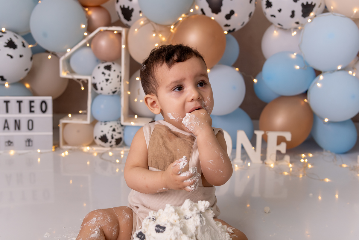 smash-the-cake-fazendinha-menino-primeiro-ano-aniversario-bolo-brooklin-moema-itaim-bibi-morumbi-santo-amaro-ibirapuera-ipiranga-cidade-monções-vila-mariana