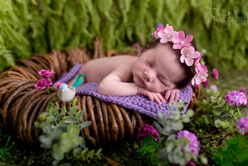 Newborn Santo André