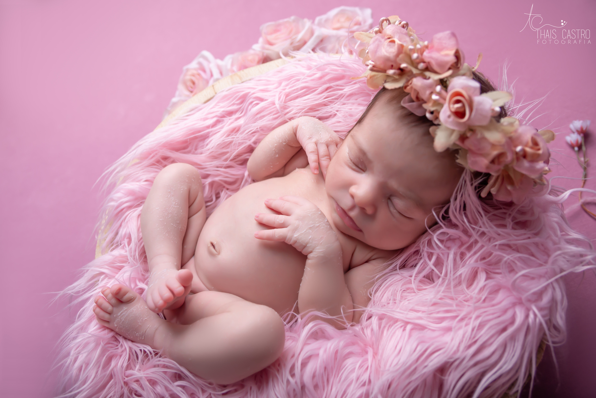 Ensaio newborn Santo André Thais Castro Fotografia