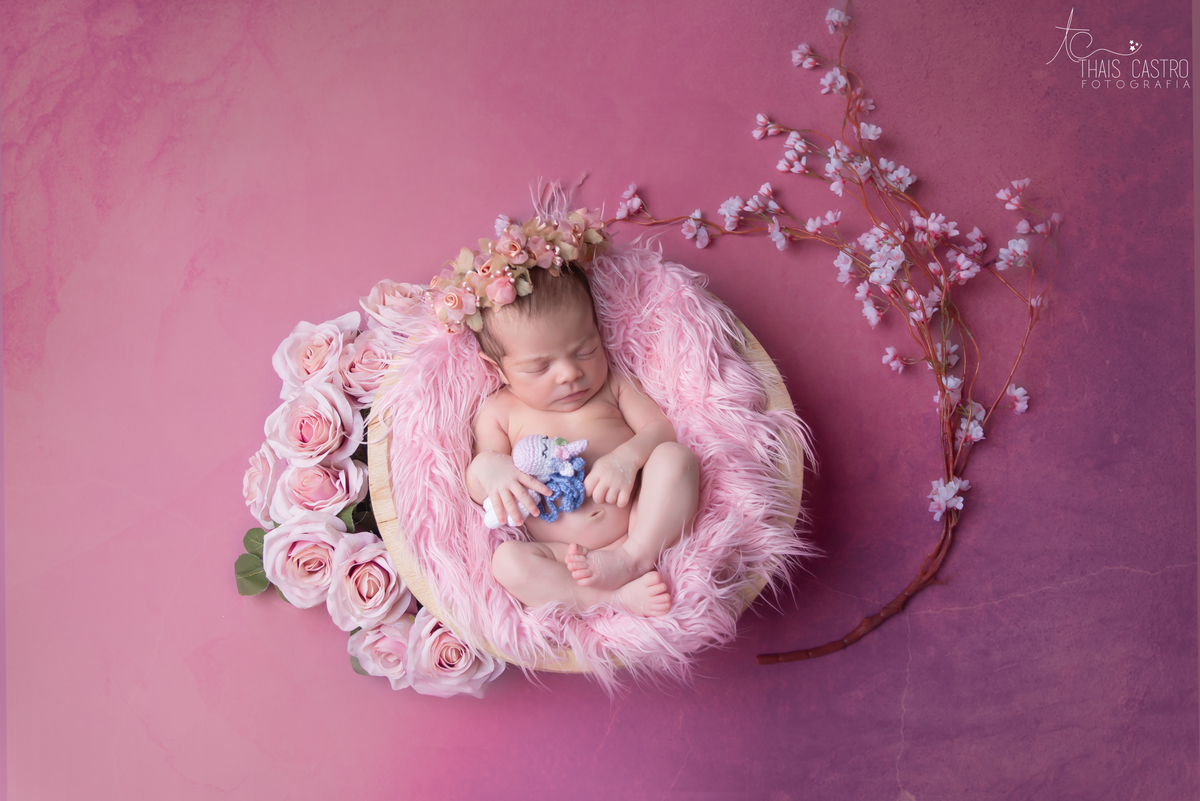 Ensaio newborn Santo André Thais Castro Fotografia